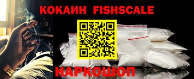 дмт Камышлов