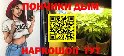 дмт Камышлов