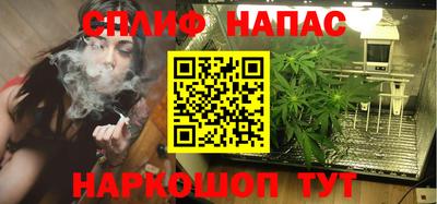 дмт Камышлов