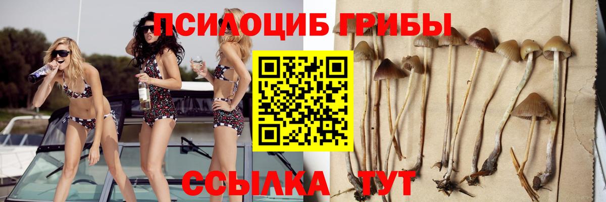 Гашиш Краснознаменск