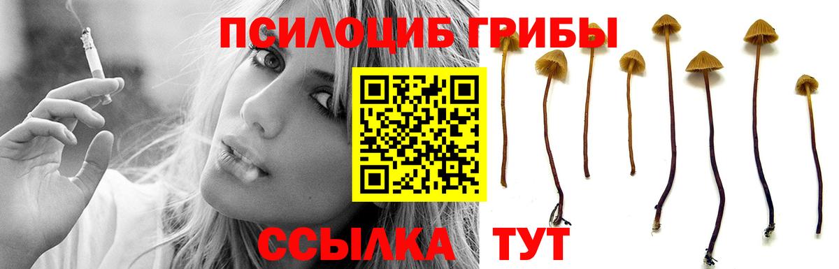 Галлюциногенные грибы MAGIC MUSHROOMS  Псилоцибиновые грибы Cubensis  Вход с VPN  Краснознаменск 